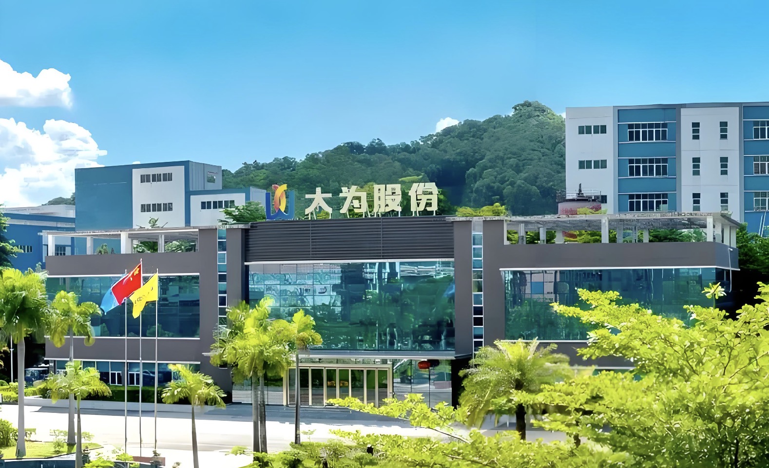 大為股份(特爾佳)管理提升項目